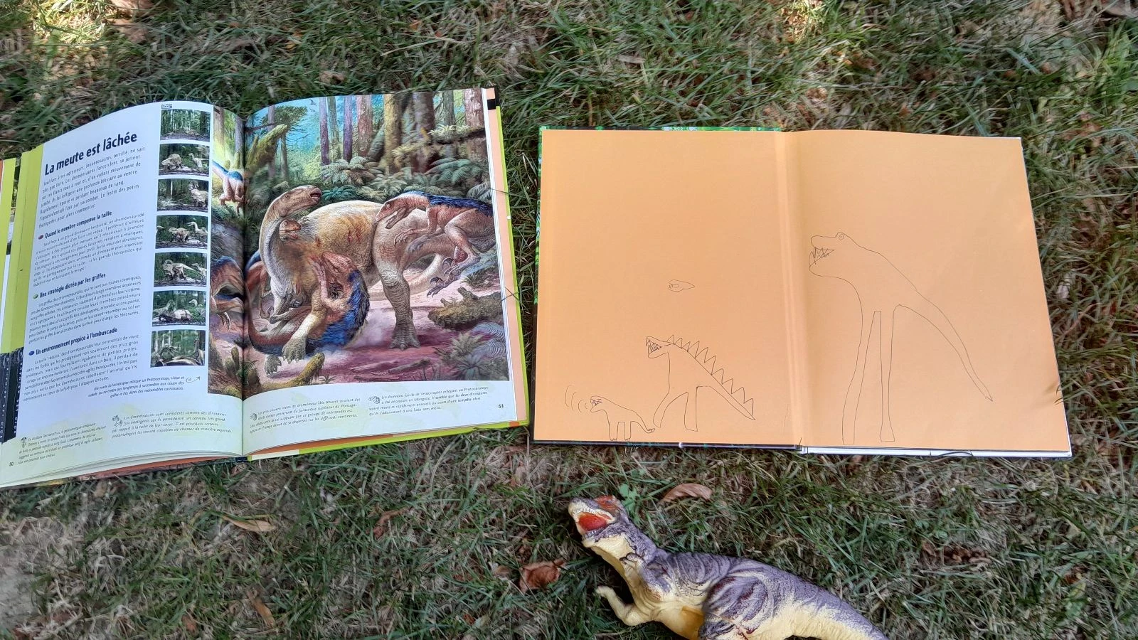 Nice dinosaur-themed set – photo 3